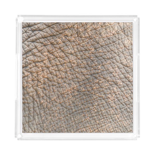 Elephant Skin: Abstract Texture Background Acrylic Tray (Front)