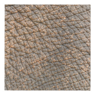 Elephant Skin: Abstract Texture Background Faux Canvas Print