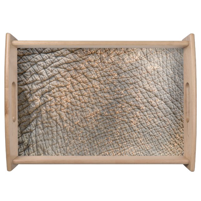 Elephant Skin: Abstract Texture Background Serving Tray (Front)