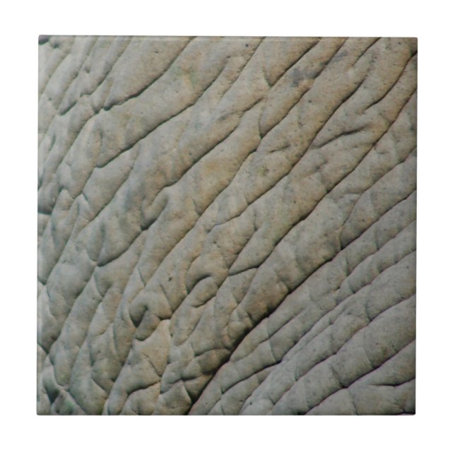 Elephant Skin Personalized With Your Name Ceramic Tile (Front)