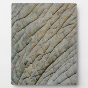 Elephant Skin Personalized With Your Name Plaque