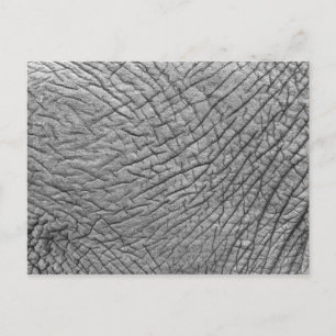 Elephant skin postcard