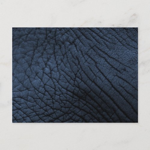 Elephant Skin Texture _ Blue Card