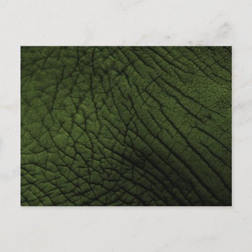 Elephant Skin Texture _ Green Card