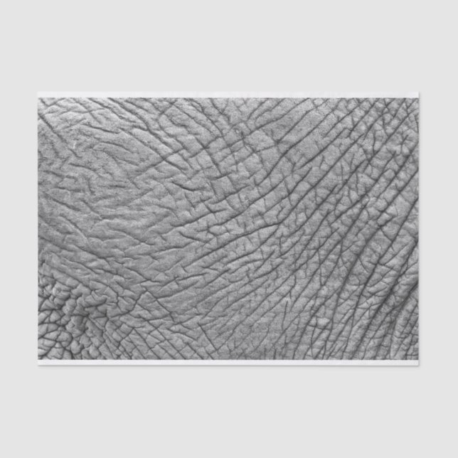 Elephant skin tissue paper (Front)
