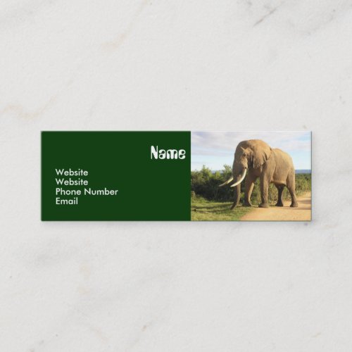 Elephant Skinny Business Card Template