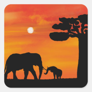 elephant, ,sky ,animals ,sunrise ,nature ,africa , square sticker