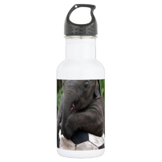 Elephant Soccer Stainless Steel Water Bottle