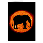 Elephant Solar Eclipse Cards (Front)