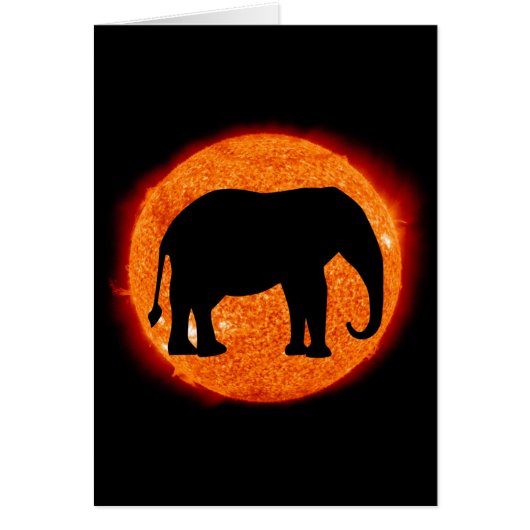 Elephant Solar Eclipse Cards (Front)