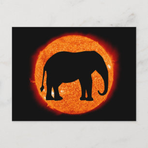 Elephant Solar Eclipse Postcard