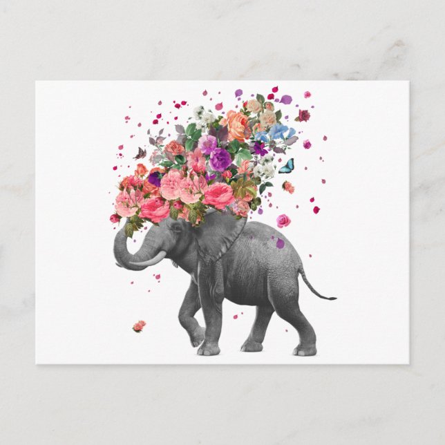 Elephant Splash Postcard (Front)