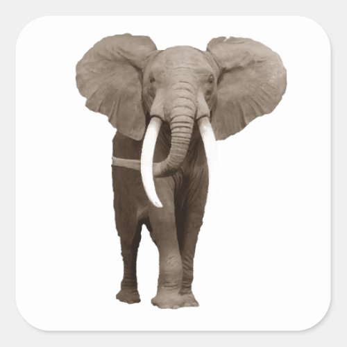 Elephant Square Sticker