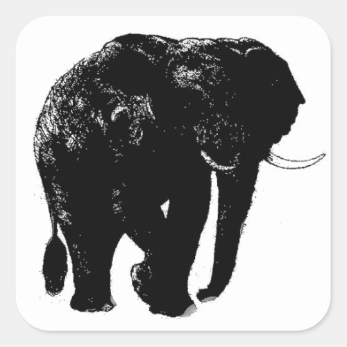 Elephant Square Sticker