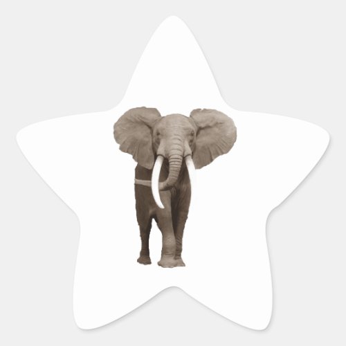 Elephant Star Sticker