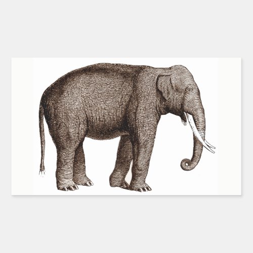 Elephant Sticker