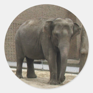 ELEPHANT stickers