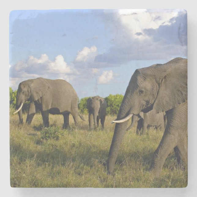 Elephant Stone Coaster (Front)