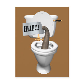 Elephant Stuck In Toilet Postcard