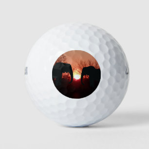 Elephant Sunset Silhouette Golf Balls