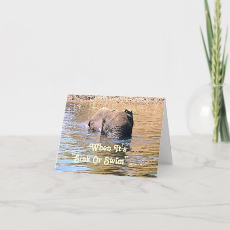 Elephant Swimming Across River /humor Card
