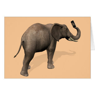 Elephant Taking A Selfie Cards