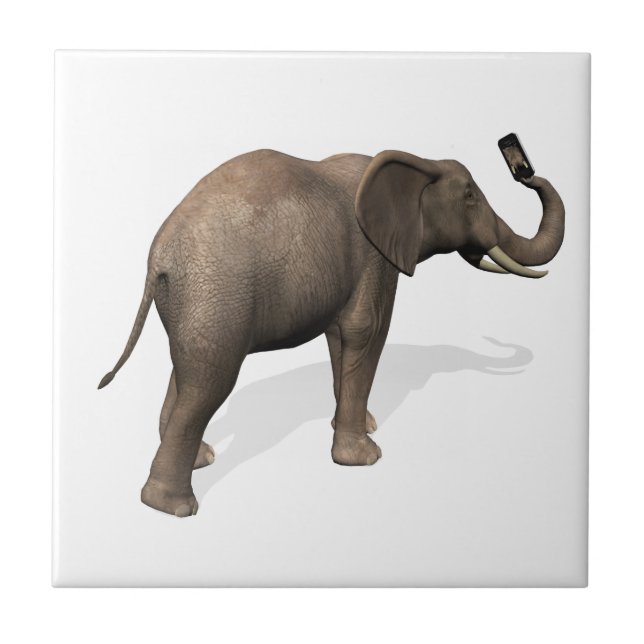 Elephant Taking A Selfie Ceramic Tile (Front)