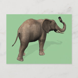 Elephant Taking A Selfie Postcard
