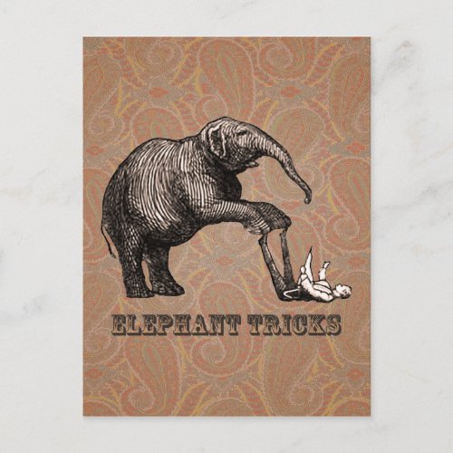 Elephant Tricks _ Funny Circus Pachyderm Postcard