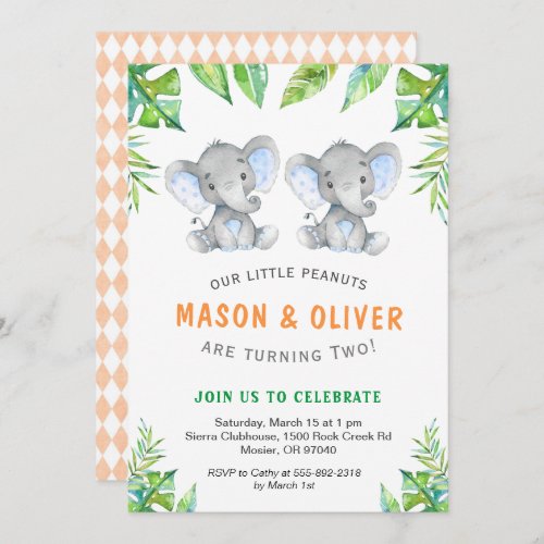 Elephant Twin Boys Birthday Little Peanuts Party Invitation