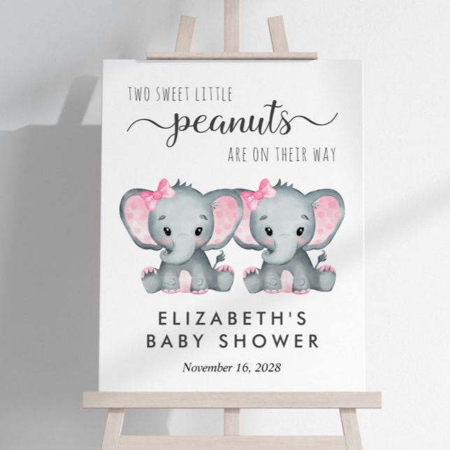 Elephant Twin Girls Baby Shower Welcome Foam Board (Creator Uploaded)