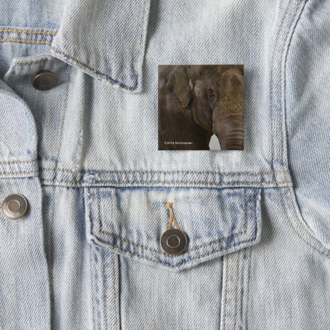 Elephant Up-Close Button (In Situ)