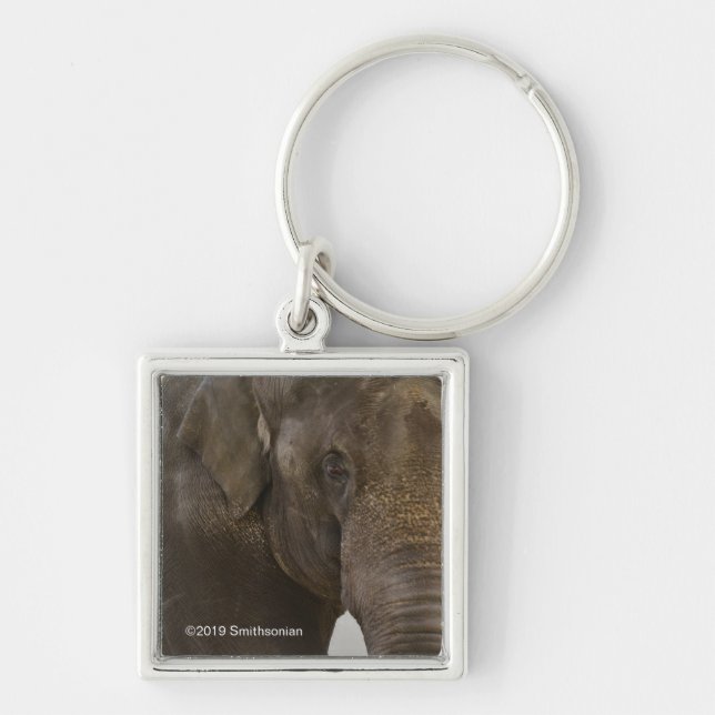 Elephant Up-Close Keychain (Front)