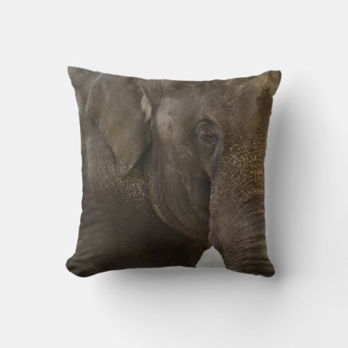 Elephant Up_Close Throw Pillow