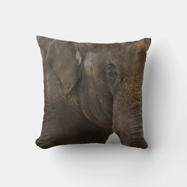 Elephant Up-Close Throw Pillow (Front)
