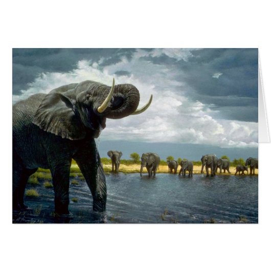 Elephant walk cards (Front Horizontal)