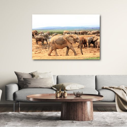 Elephant walk on by herd canvas framed