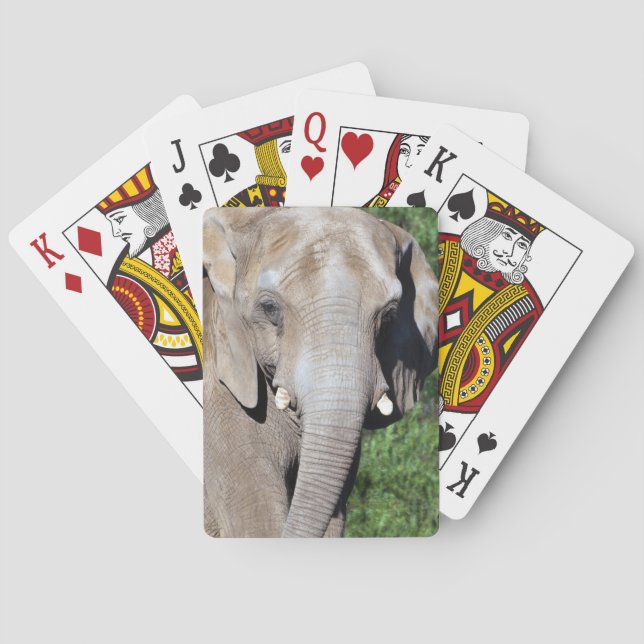 Elephant Walking Poker Cards (Back)