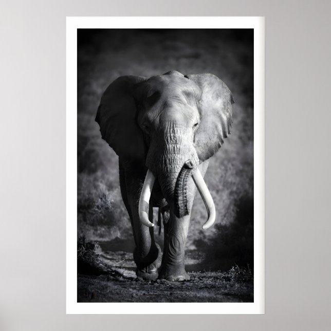 Elephant Wall Art Minimalist Black & White (Front)