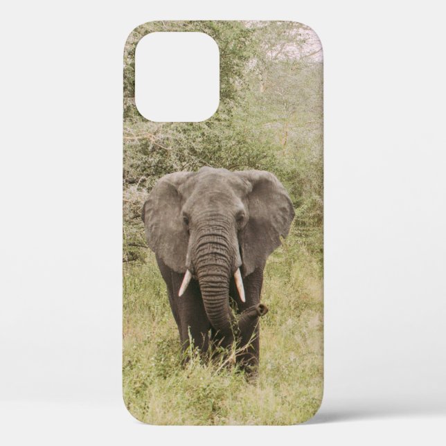 ELEPHANT WATCHING A TOUR CAR Case-Mate iPhone CASE (Back)