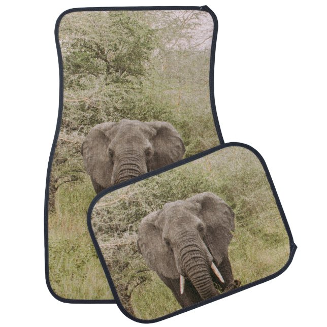 ELEPHANT WATCHING A TOUR CAR FLOOR MAT (Set)