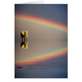 Elephant, Water & Rainbow, Kenya (Front)