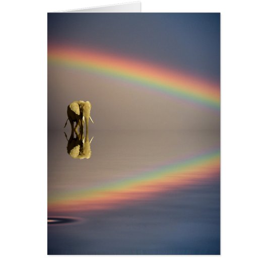 Elephant, Water & Rainbow, Kenya (Front)