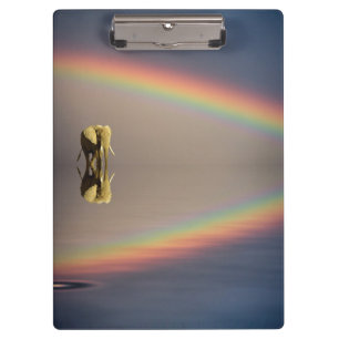 Elephant, Water & Rainbow, Kenya Clipboard