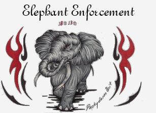 elephant wear t shirts shirt designs zazzle