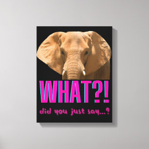 Elephant What Did You Just Say? Canvas Print