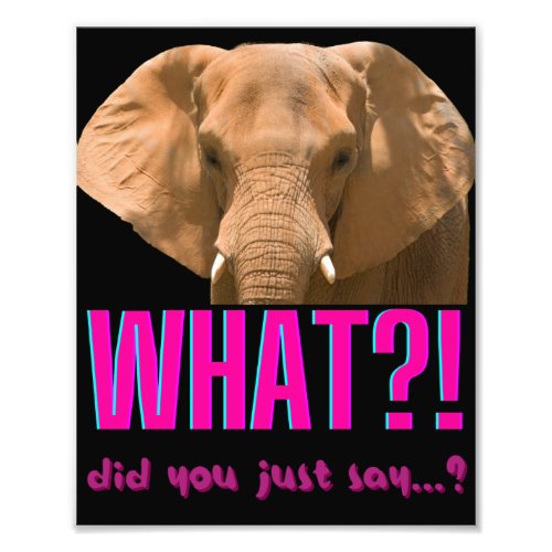 Elephant What Did You Just Say Photo Print