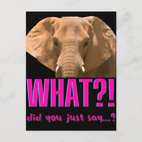 Elephant What Did You Just Say Postcard