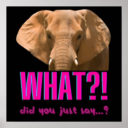 Elephant What Did You Just Say Poster