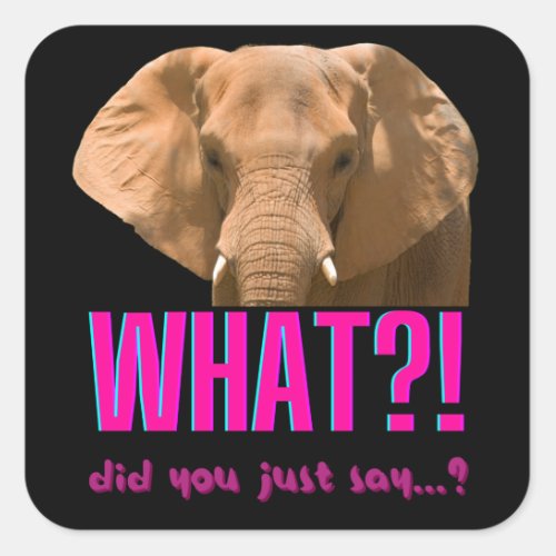 Elephant What Did You Just Say Square Sticker